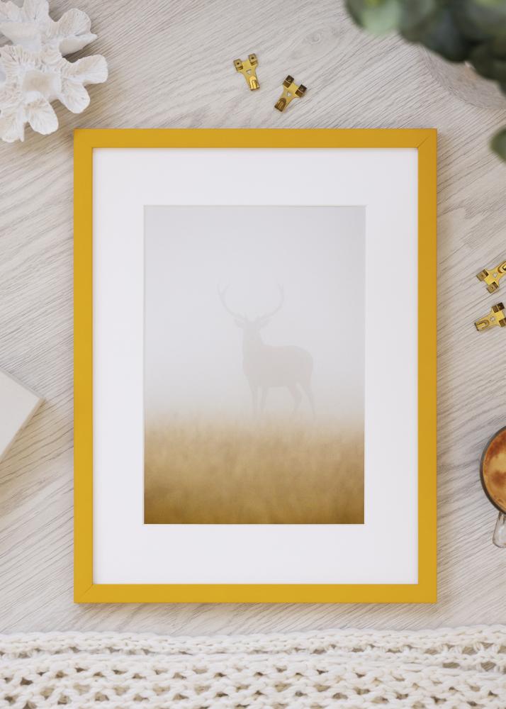 Raam Kent Akrüülklaas Kuld 21x29,7 cm (A4)