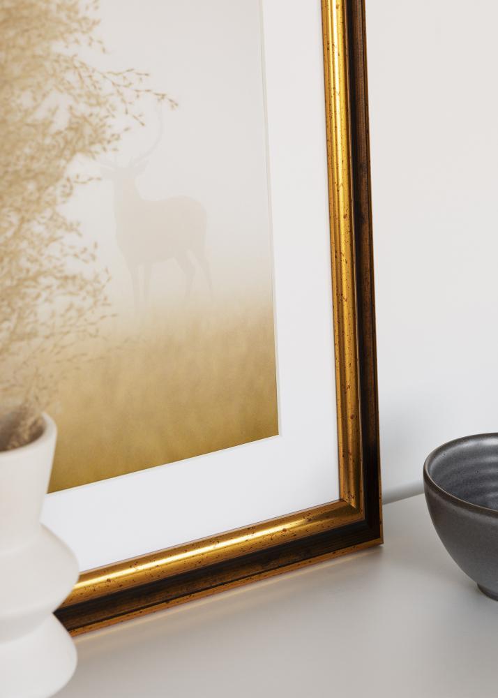 Raam Aberystwyth Akrüülklaas Kuld 42x59.4 cm (A2)