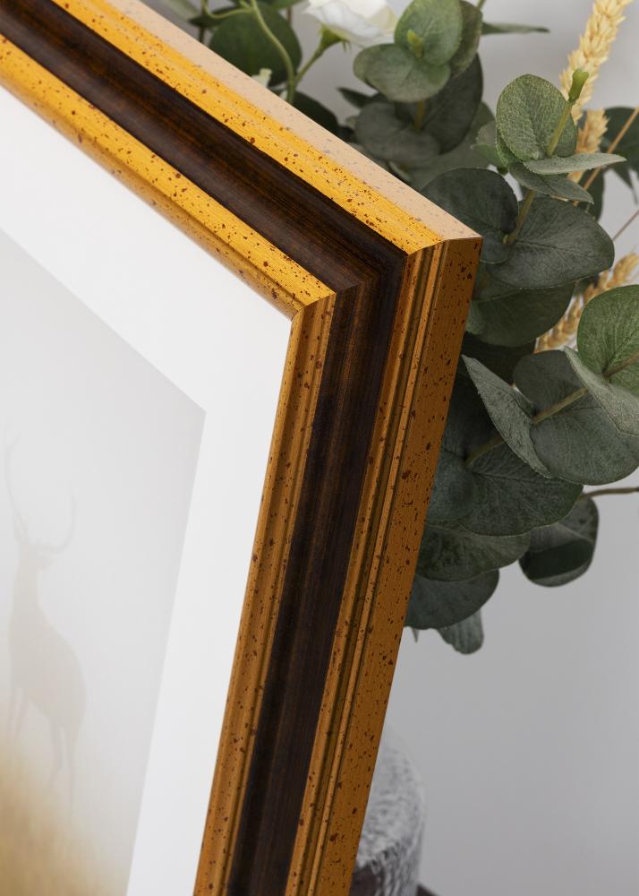 Raam Aberystwyth Akrüülklaas Kuld 42x59.4 cm (A2)