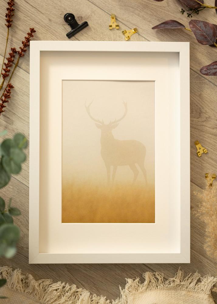 BGA Karbi raam Valge 50x70 cm– paspartuu Valge 40x60 cm