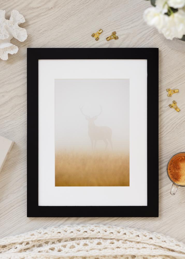 BGA Select Wide Akruulklaas Must 70x100 cm