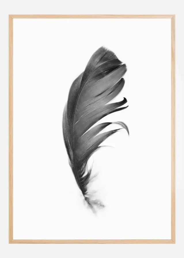 Feather Plakat