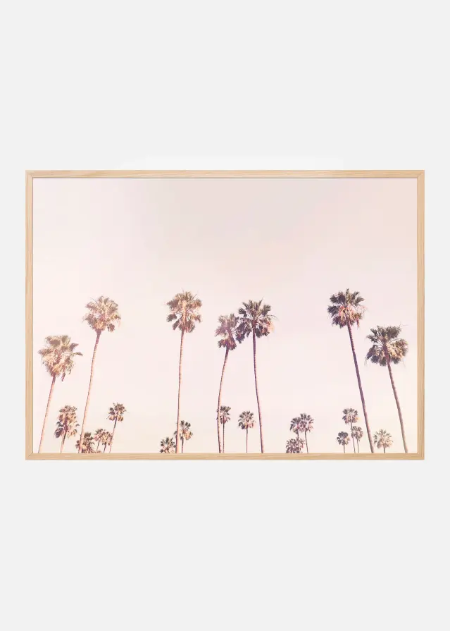 Sunny Cali Palm Trees Plakat