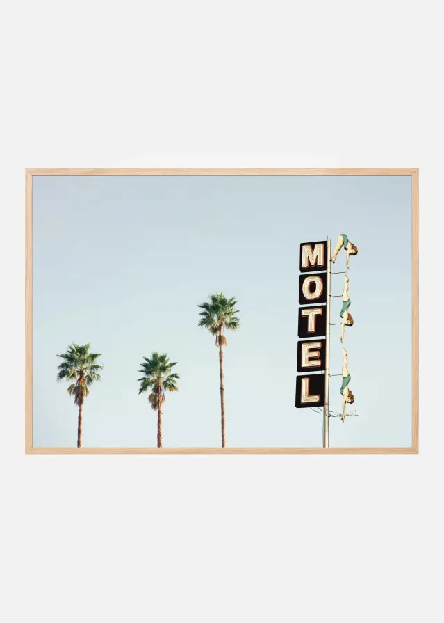 Diving Ladies Plakat