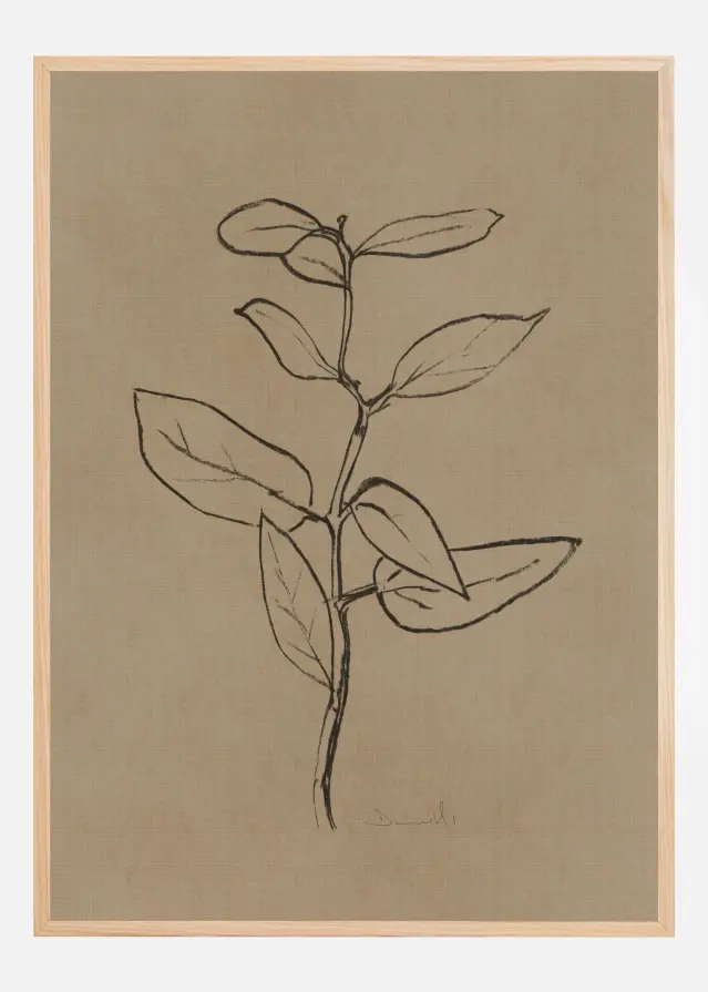 Eucalyptus Sapling Plakat