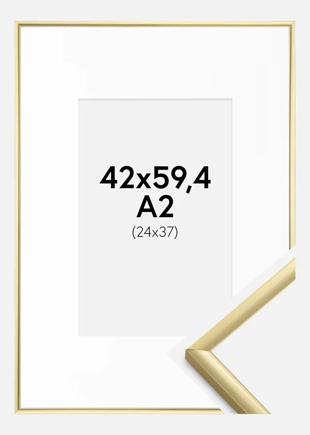 Raam New Lifestyle kuldne 42x59,4 cm (A2) - paspartuu valge 25x38 cm