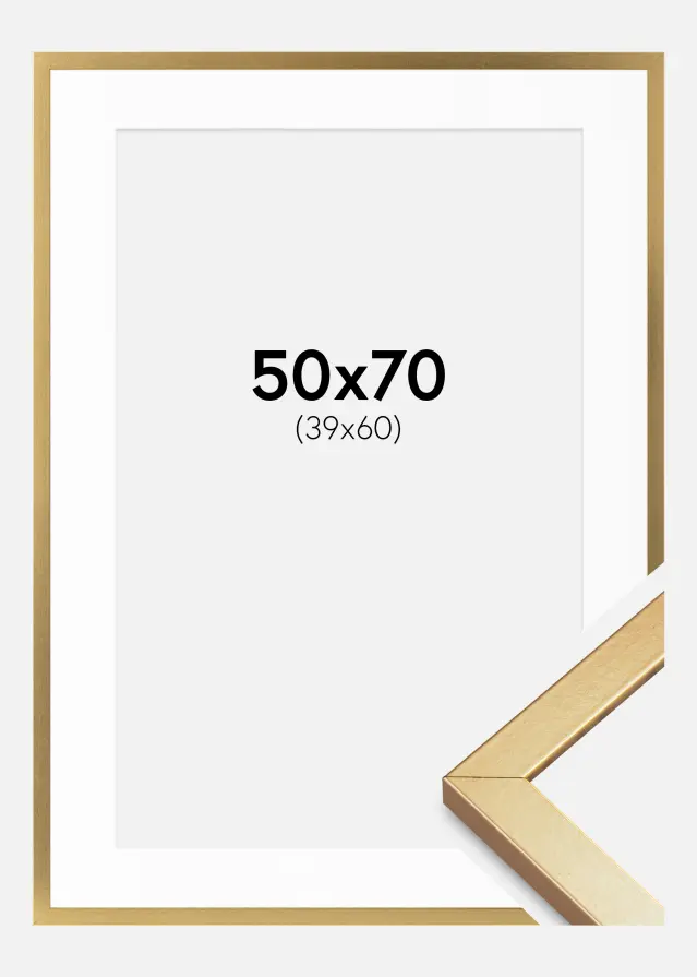 Raam Minerva Kuldne 50x70 cm - paspartuu Valge 40x61 cm