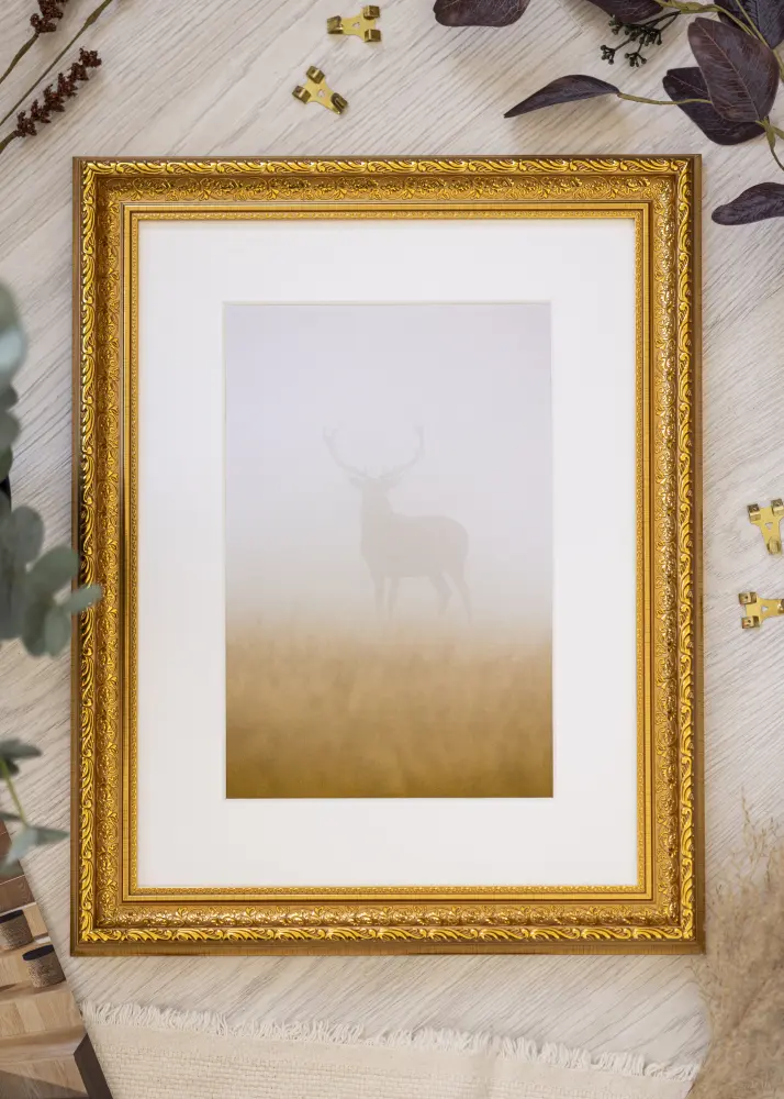 Raam Ornate Kuldne 60x80 cm - paspartuu Valge 52x72 cm