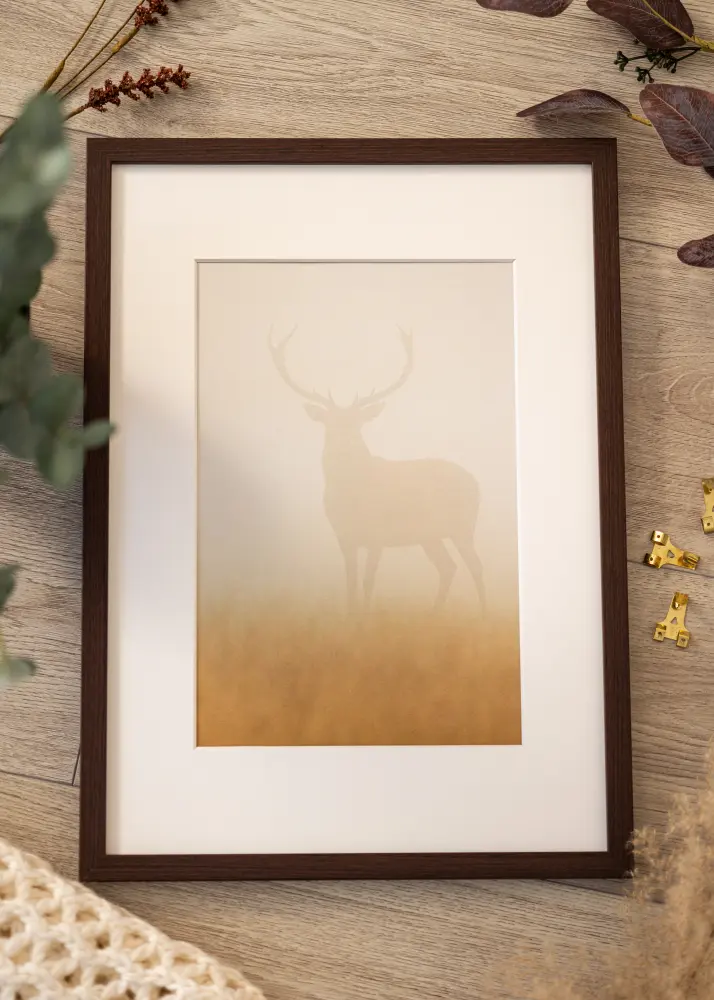 Raam Modern pähkel 60x90 cm - paspartuu Valge 40x70 cm