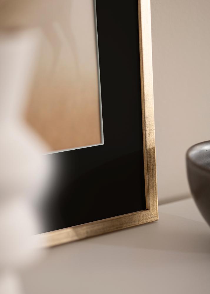 Raam Galant kuldne 40x50 cm - paspartuu muster 12x16 inches