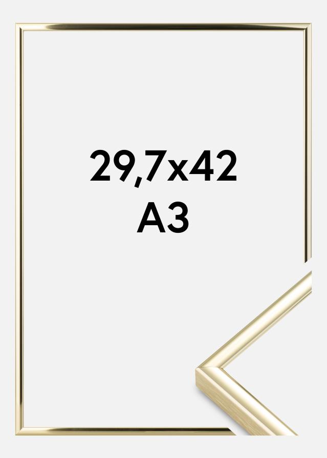 Raam Nielsen preemium Classic kuldne 29,7x42 cm (A3)