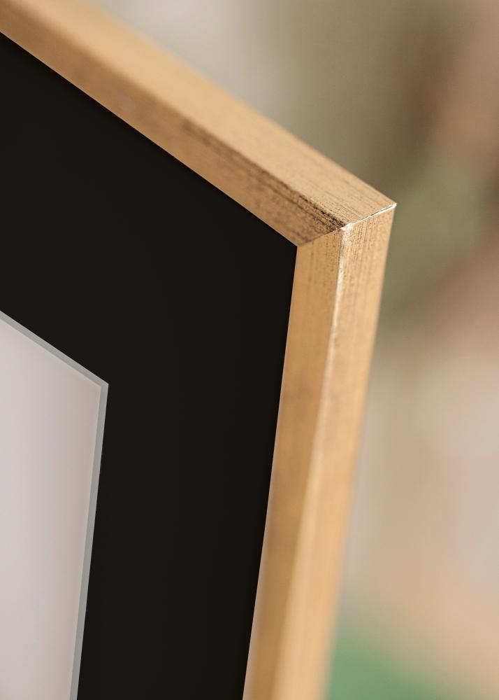 Raam Galant kuldne 40x50 cm - paspartuu muster 12x16 inches