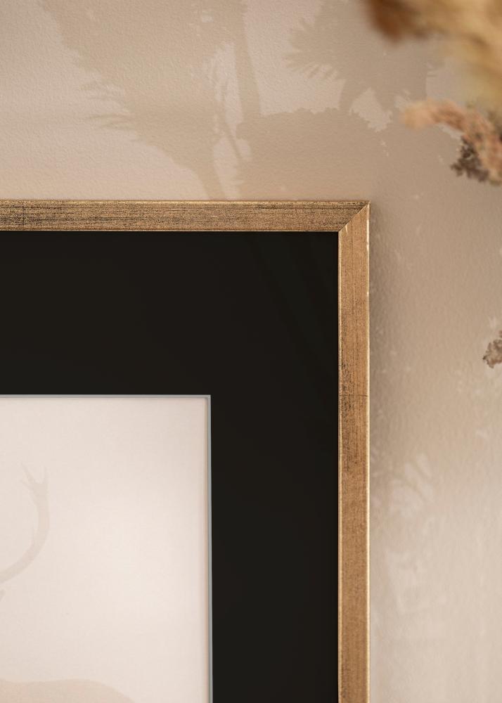 Raam Galant kuldne 40x50 cm - paspartuu muster 12x16 inches