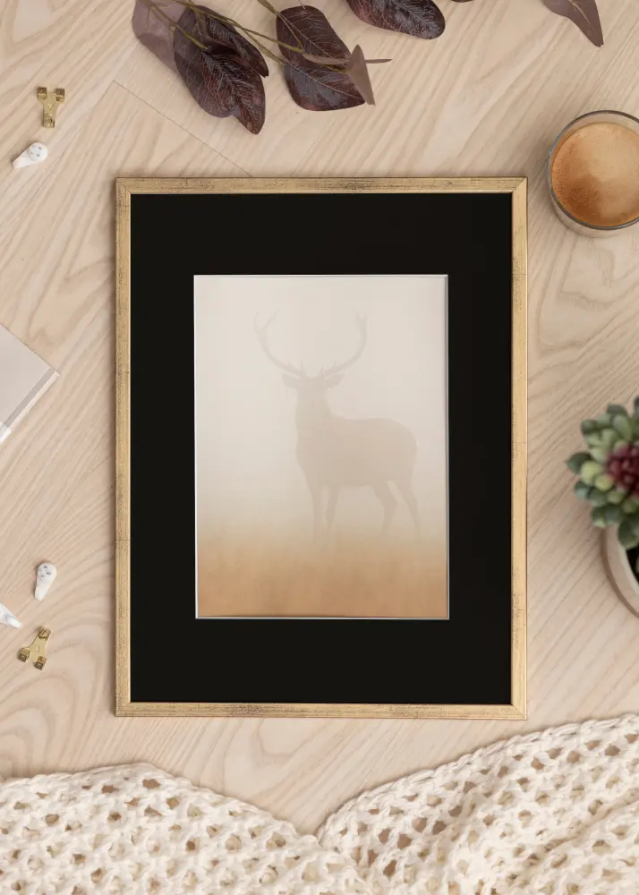 Raam Galant kuldne 50x70 cm - paspartuu muster 42x59,4 cm (A2)