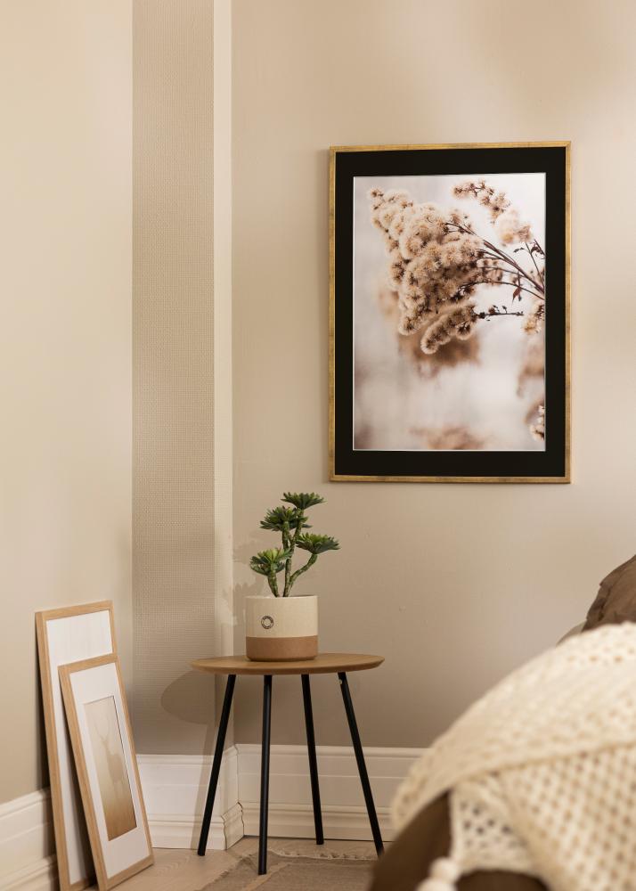 Raam Galant kuldne 40x50 cm - paspartuu muster 12x16 inches