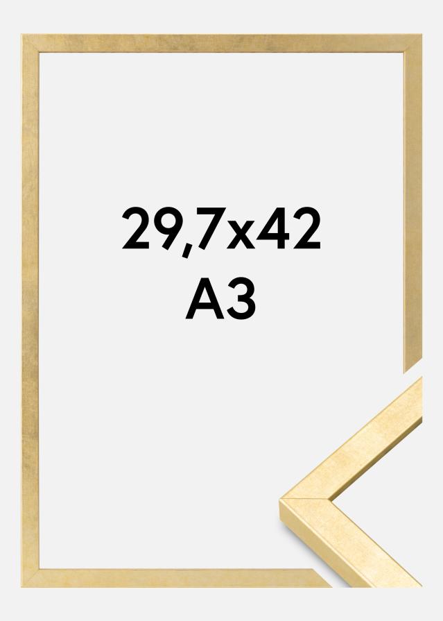 Raam Ares Akruulklaas kuldne 29,7x42 cm (A3)