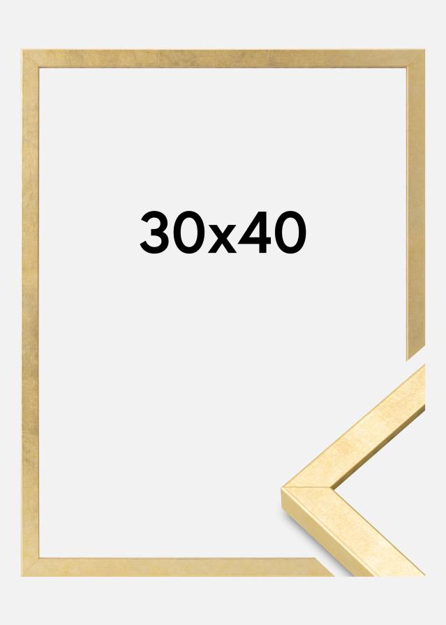 Raam Ares Akruulklaas kuldne 30x40 cm