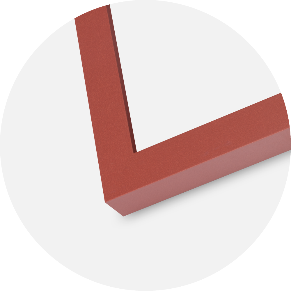 Raam Selection Akrüülklaas Coral 59.4x84 cm (A1)