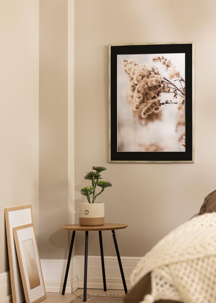 Raam Galant hobedane 30x40 cm - paspartuu muster 18x27 cm