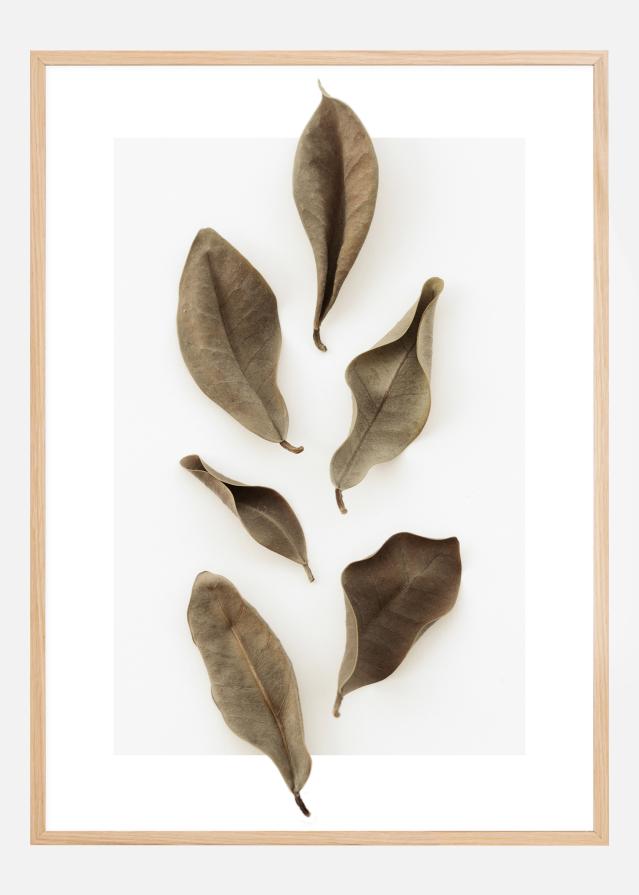 Dried Leaves Plakat