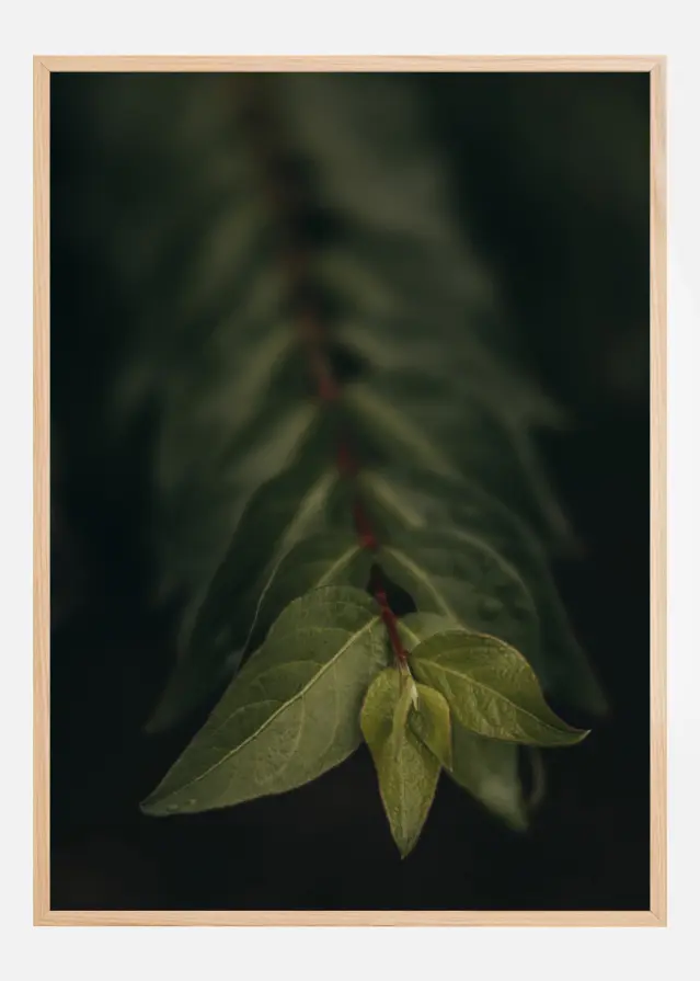 Blurry Branch Plakat