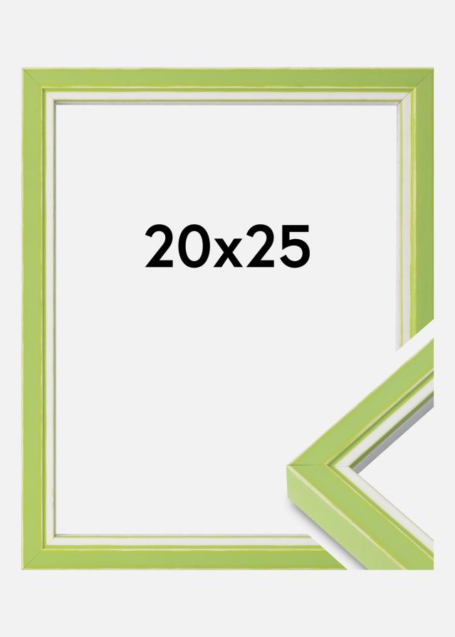 Raam Diana Akruulklaas heleroheline 20x25 cm