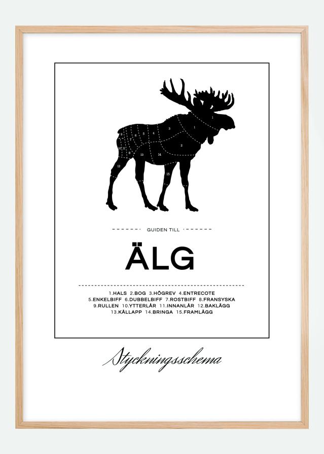 Tukeldusskeem poder Plakat