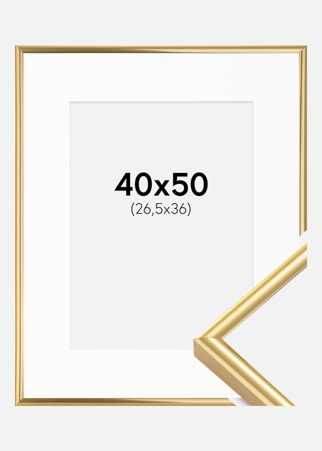 Raam Victoria kuldne 40x50 cm - paspartuu valge 27,5x37 cm