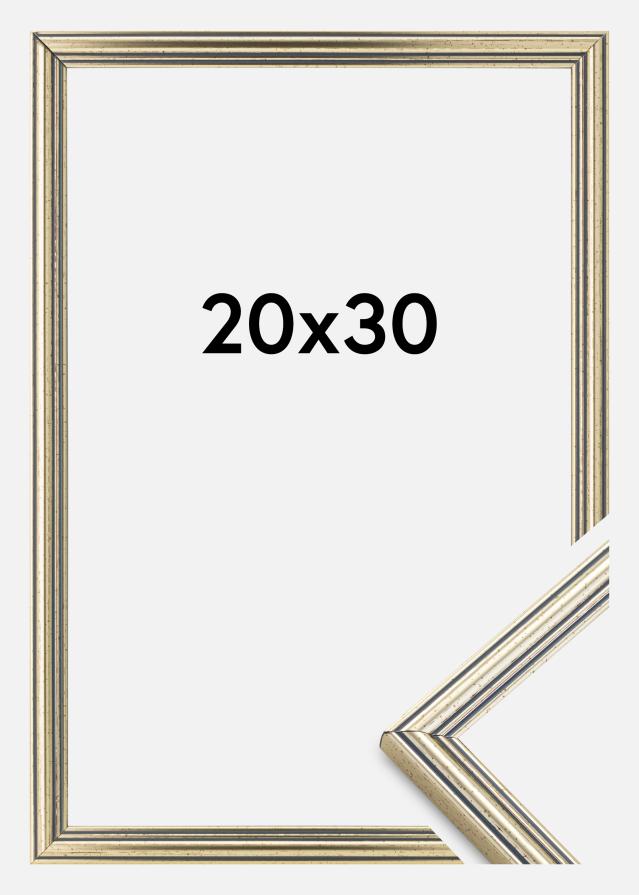 Raam Classic hobedane 20x30 cm