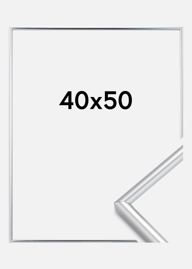 Raam Galeria hobedane 40x50 cm