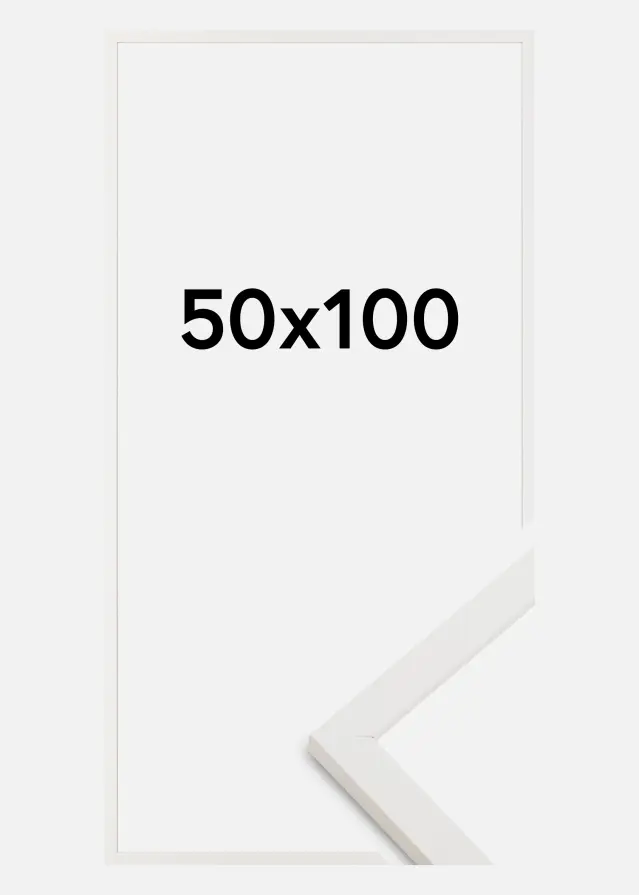 Raam Trendy Akruulklaas Valge 50x100 cm