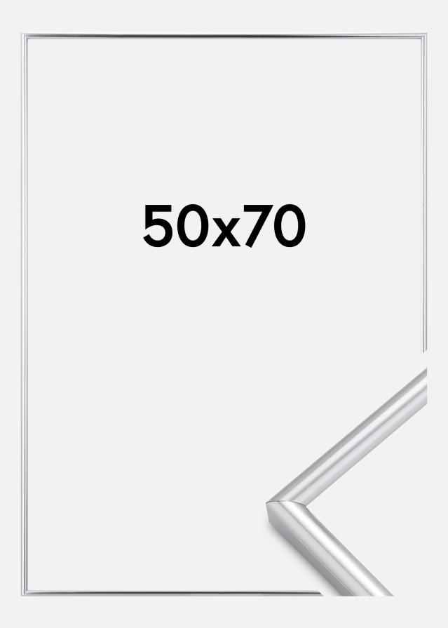 Raam Galeria hobedane 50x70 cm