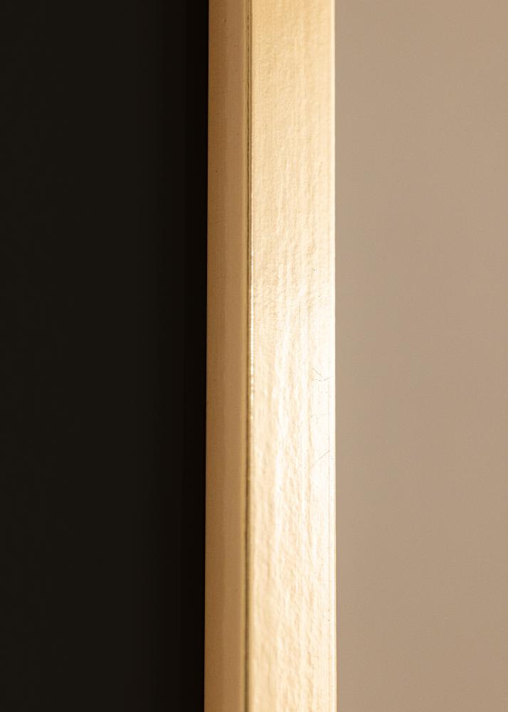 Raam Trendy kuldne 20x25 cm - paspartuu muster 14x18 cm