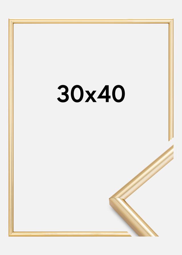 Raam Galeria kuldne 30x40 cm