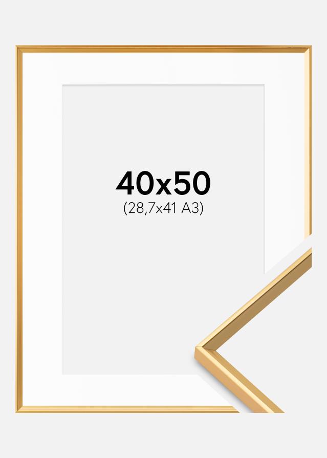 Raam Desire kuldne 40x50 cm - paspartuu valge 29,7x42 cm (A3)