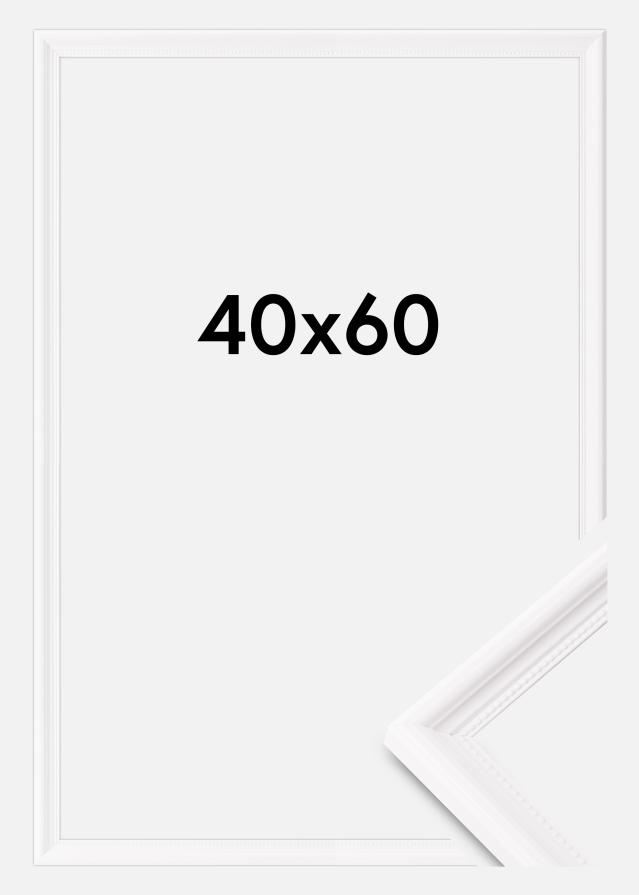 Raam Gala Akruulklaas valge 40x60 cm