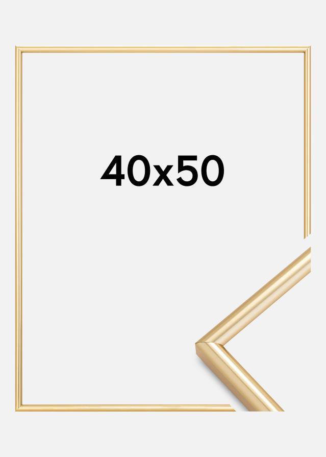 Raam Galeria kuldne 40x50 cm