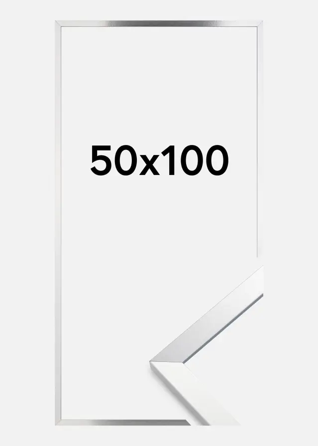 Raam Trendy Akruulklaas Hõbedane 50x100 cm