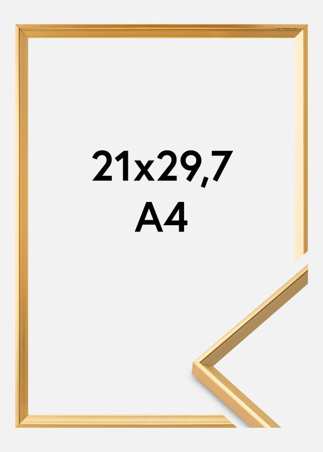 Raam Desire kuldne 21x29,7 cm (A4)