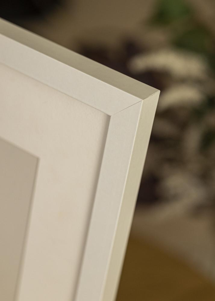 Raam Selection valge 40x50 cm - paspartuu valge 27,5x37 cm