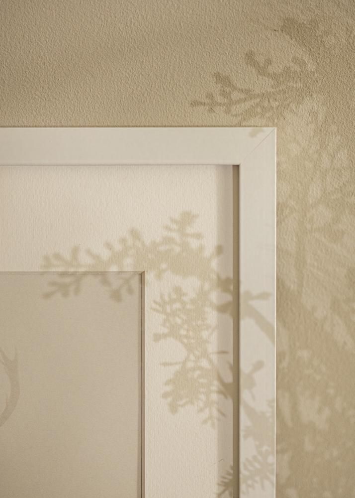 Raam Selection valge 40x50 cm - paspartuu valge 27,5x37 cm