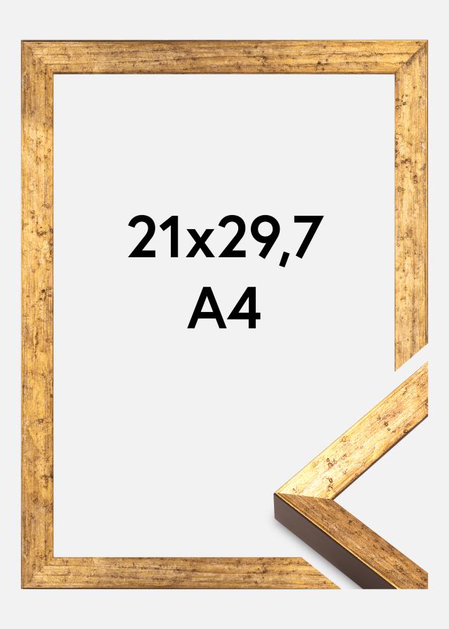 Raam Dune Akrüülklaas Kuld 21x29,7 cm (A4)