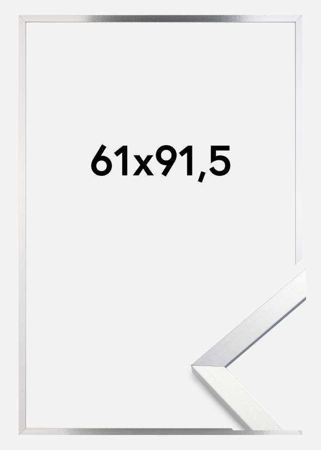 Raam Trendy Akruulklaas Hõbedane 61x91,5 cm