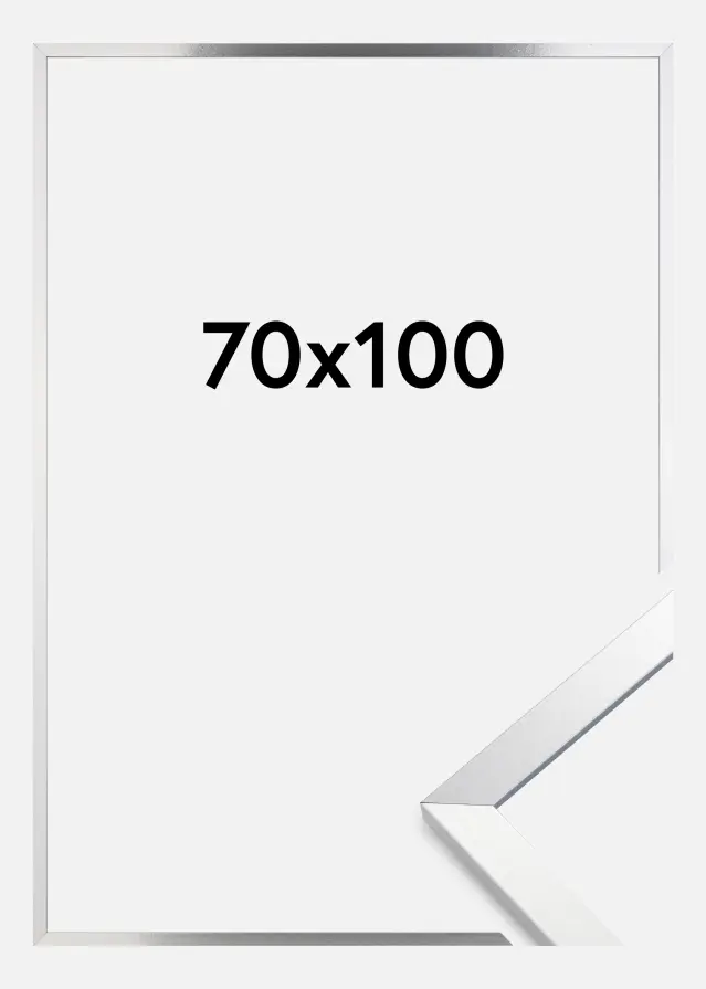 Raam Trendy Akruulklaas Hõbedane 70x100 cm