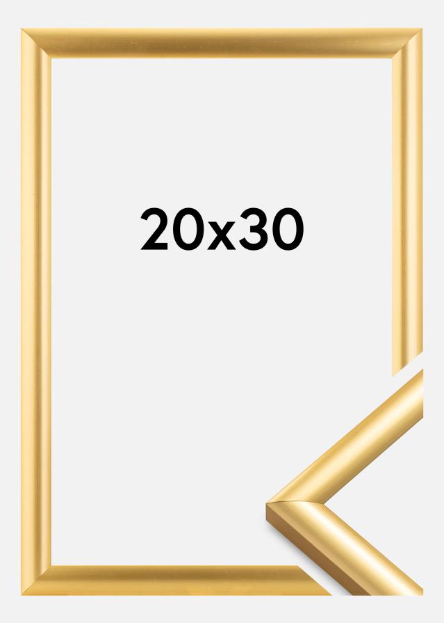Raam Trendstyle kuldne 20x30 cm