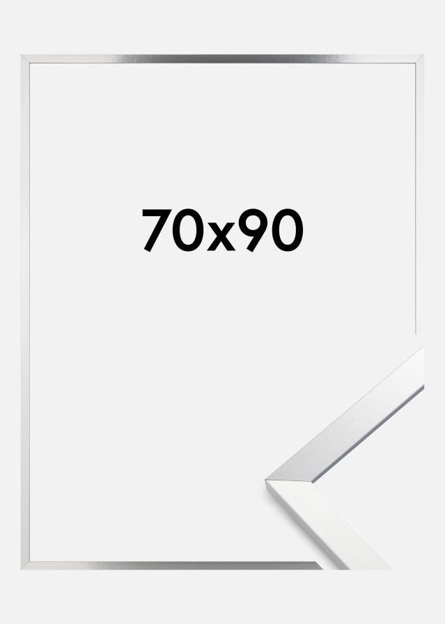 Raam Trendy Akruulklaas Hõbedane 70x90 cm