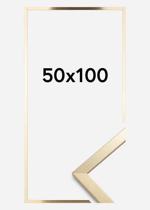 Raam Trendy Akruulklaas Kuldne 50x100 cm