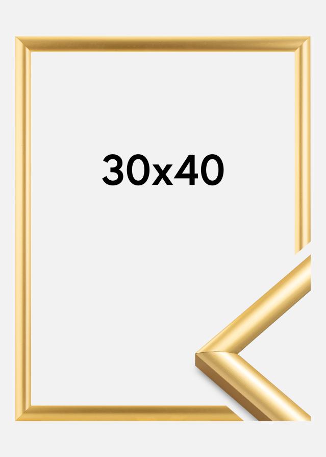 Raam Trendstyle kuldne 30x40 cm