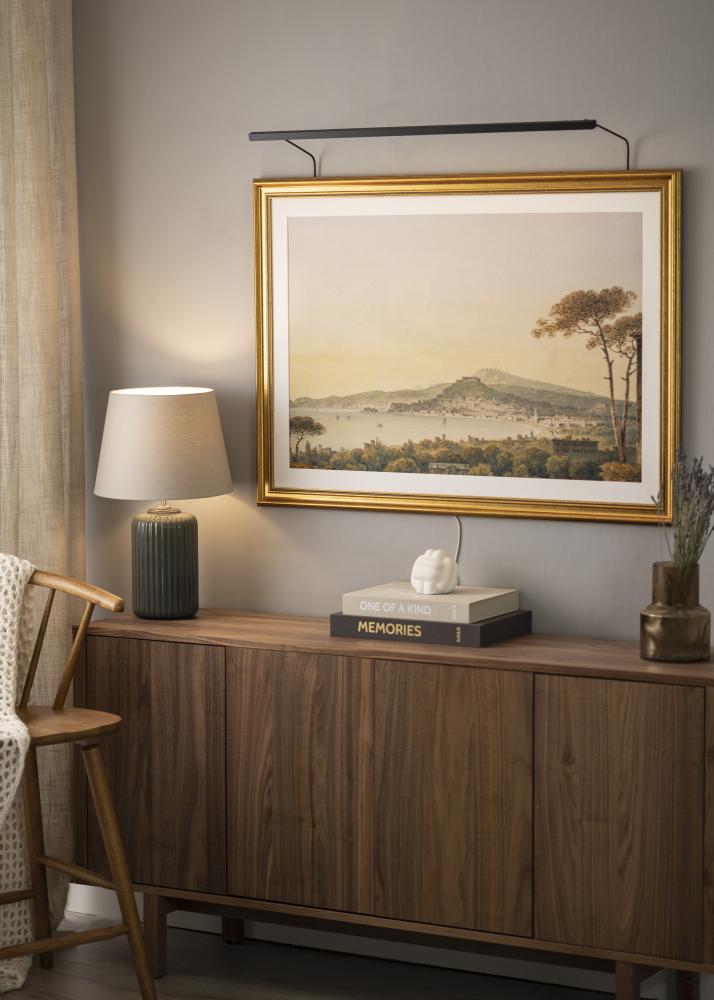 BLP 117 pildi valgustus 85 cm - muster