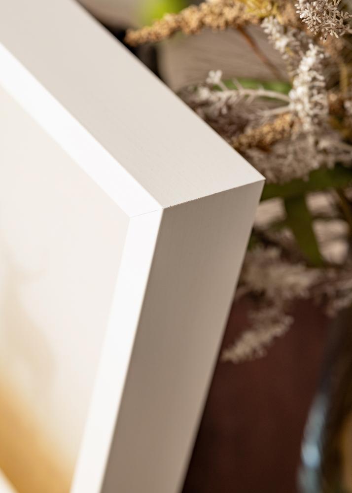 Raam Sala valge - Vabalt valitav suurus